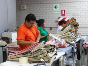 mypes beneficios zofratacna